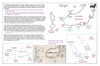 coo0e22 1765 burin penin_thumb.gif